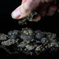 VITAMINO B+ FREEZER BAITS