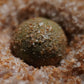Mkultra - Hard / Salt cured bottom baits